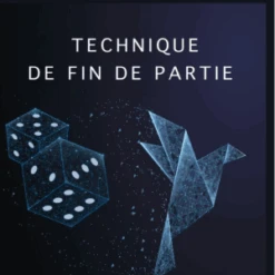 Backgammon - Technique De Fin De Partie - Michihito Kageyama