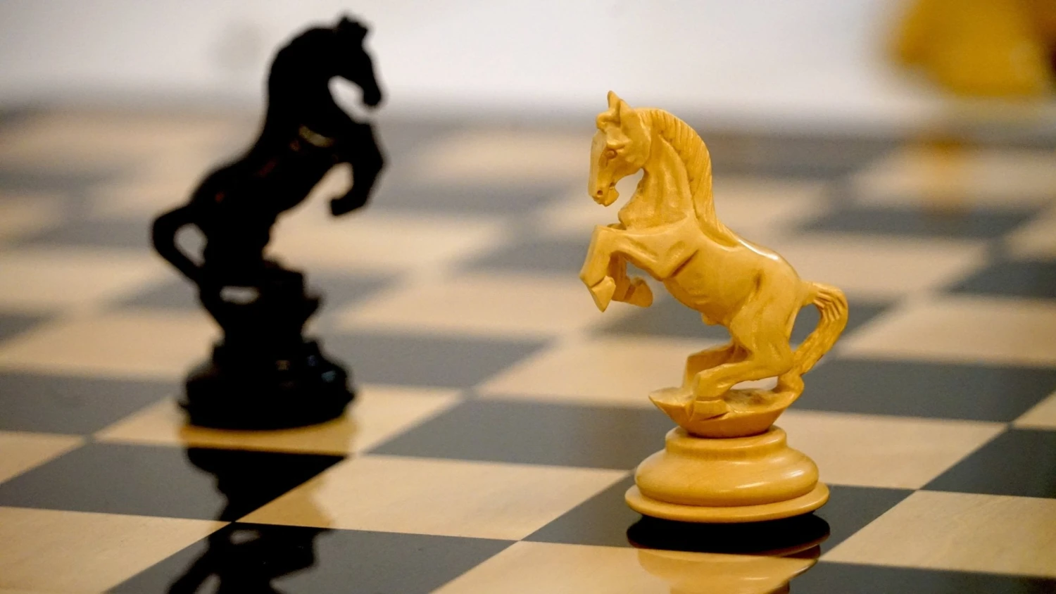 Ensemble Cavalier Cabré - Laqué 3 Ensemble Cavalier Cabré - Laqué