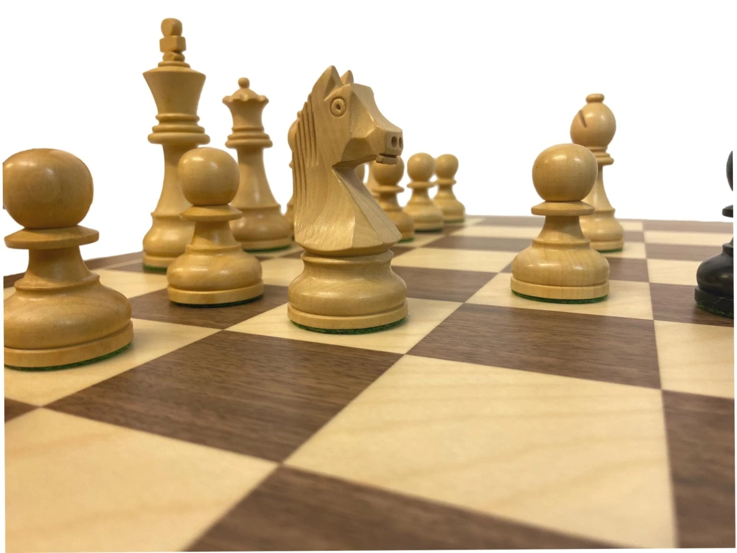 Ensemble Club - Tournoi Des Candidats 11 Ensemble Club - Tournoi Des Candidats – Image 9