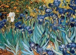 Puzzle Eurographics - 1000 P - Iris - Vincent Van Gogh -Périphériques De Jeu puzzle eurographics 1000 p iris vincent van gogh puzzle en carton 104415