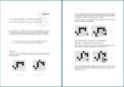 TSUMEGO - L'art Du Combat Au Jeu De GO -Périphériques De Jeu tsumego lart du combat au jeu de go jeu de go accessoire de go pendule de go 861295